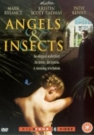 Angels and Insects