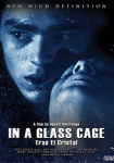 In a Glass Cage