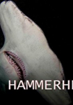 Mega Hammerhead